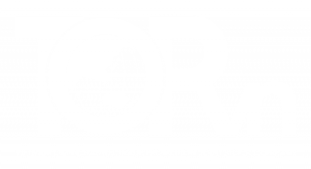 TOPVN.,JSC